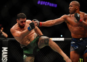兩名男性MMA拳手在籠中進行高踢交換。 — 運動 壁紙