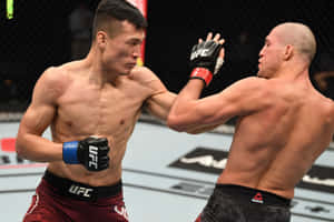 兩名身穿UFC裝備的男性拳手在八角籠內互相出拳。 — 終極格鬥冠軍賽 壁紙