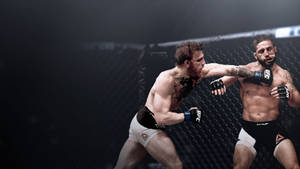 兩名MMA拳手在籠中比賽時互相出拳。 — 終極格鬥冠軍賽 壁紙