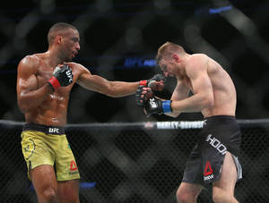兩名戴著MMA手套的男性拳手在八角籠內互相出拳。 — 終極格鬥冠軍賽 壁紙