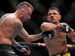 兩名戴著MMA手套的男性拳手在八角籠內互相出拳。 — 運動 壁紙