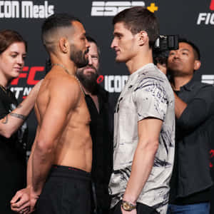 兩名男性MMA拳手在UFC稱重活動中互相凝視。 — 拳擊 壁紙
