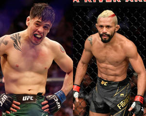 兩名男性MMA拳手在比賽中身穿UFC裝備於八角籠內。 — 終極格鬥冠軍賽 壁紙
