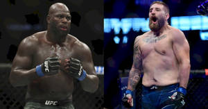八角籠內的兩名UFC拳手，一人面露痛苦，另一人勝利咆哮。 — 終極格鬥冠軍賽 壁紙
