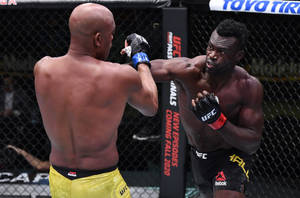 兩名男性MMA拳手在八角籠中於UFC比賽期間互毆。 — 終極格鬥冠軍賽 壁紙