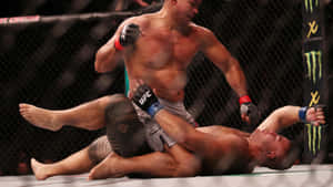 兩名男性MMA拳手在八角籠內交戰 — 1600x900 壁紙