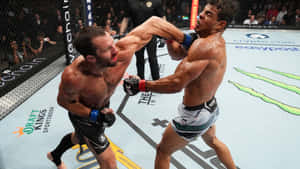 兩名MMA拳手在比賽中於UFC八角籠內互相揮出重拳。 — 終極格鬥冠軍賽 壁紙