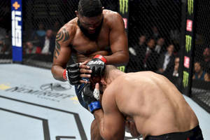 兩名MMA拳手在UFC八角籠內進行纏鬥對抗。 — 終極格鬥冠軍賽 壁紙