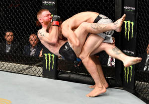 兩名MMA拳手在UFC比賽中於八角籠內交戰。 — 運動 壁紙