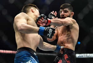 兩名MMA拳手在八角籠中互相出拳，進行UFC比賽。 — 終極格鬥冠軍賽 壁紙
