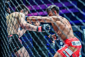 兩名MMA拳手在八角籠內於明亮燈光下互相出拳。 — 運動 壁紙