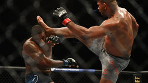 籠中兩名MMA拳手，一人踢中另一人頭部。 — 運動 壁紙