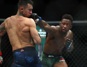 兩名男性MMA拳手在鐵籠中互相出拳。 — 終極格鬥冠軍賽 壁紙