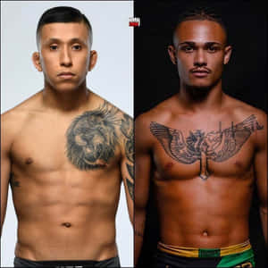 兩名赤裸上身的MMA拳手，胸前有紋身，在攝影棚擺姿勢 — 極限運動 壁紙