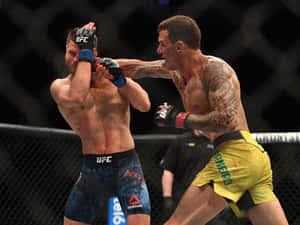 兩名MMA拳手在血跡斑斑的籠中比賽中互相出拳。 — 運動 壁紙