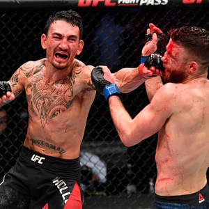 兩名拳手在血腥的MMA鐵籠賽中互相出拳。 — 終極格鬥冠軍賽 壁紙