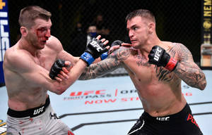 兩名男性MMA拳手在UFC八角籠中交換拳擊，可見血跡。 — 運動 壁紙