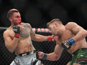 兩名男性拳手在UFC比賽中於八角籠內互相出拳。 — 4:3 壁紙