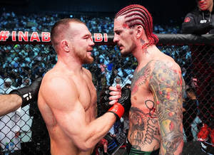 兩名男性MMA拳手在八角籠內交戰。 — 桌面 壁紙