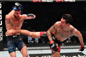 兩名男性MMA拳手在UFC鐵籠中交換高踢和防守阻擋。 — 終極格鬥冠軍賽 壁紙