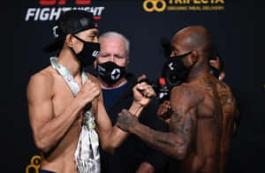兩名戴面具的UFC拳手在賽前緊張時刻鎖拳。 — 終極格鬥冠軍賽 壁紙