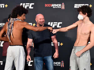 兩名MMA拳手在稱重時與UFC主席Dana White碰拳。 — 終極格鬥冠軍賽 壁紙