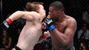 兩名MMA拳手在UFC比賽期間於籠中互毆。 — 終極格鬥冠軍賽 壁紙