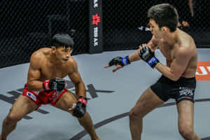 兩名身穿紅色和黑色短褲的男性拳手在MMA籠內纏鬥。 — 運動 壁紙