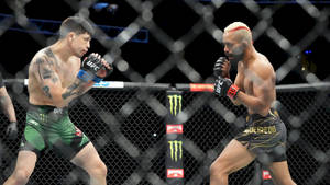 兩名男性MMA拳手在八角籠內擺出戰鬥姿勢。 — 終極格鬥冠軍賽 壁紙