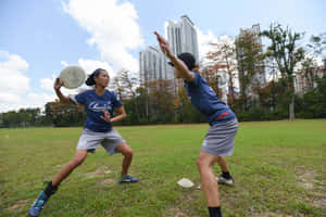 兩名運動員在市區公園玩飛盤，背景是高樓大廈。 — 運動 壁紙