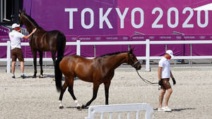 在東京2020奧運馬術場地，兩匹馬由馴馬師引領。 — 運動 壁紙