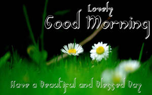 兩朵雛菊在綠草地上帶有「Lovely Good Morning」文字。
