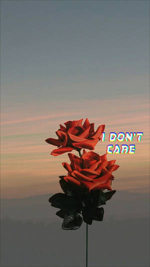 兩朵紅玫瑰，帶有故障風格文字 I DON'T CARE，襯托暮色天空。 — 我不在乎 壁紙