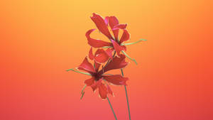 兩朵帶有綠色莖的紅色花朵，襯托著漸變橙色背景。 — macOS Mojave 壁紙