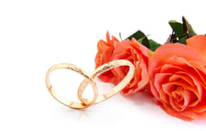 兩枚金色結婚戒指交織在一起，旁邊有橙色玫瑰，背景白色。 — 情侶 壁紙