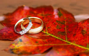 紅色秋葉上的兩枚結婚戒指 — 16:10 壁紙