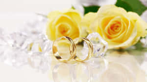 反光表面上兩枚金婚戒，帶有花卉和水晶點綴。 — 結婚戒指 壁紙