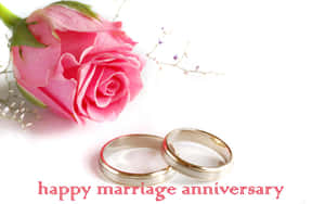 兩枚金色結婚戒指和一朵粉紅玫瑰，用於結婚週年慶祝。 — 慶祝 壁紙