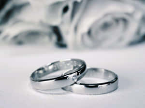 兩枚銀色結婚戒指，其中一枚鑲有鑽石，放在白色上，背景有模糊的玫瑰。 — 結婚戒指 壁紙
