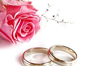 兩枚結婚戒指放在粉紅玫瑰和紫色小枝旁，白色背景 — 結婚戒指 壁紙