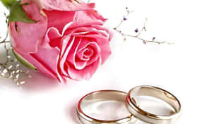 兩枚結婚戒指放在粉紅玫瑰和小花旁，白色背景。 — 結婚戒指 壁紙
