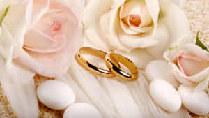 兩枚金色結婚戒指，鑲嵌在白色和淡粉紅玫瑰以及光滑石頭之間，置於蕾絲上。 — 明亮 壁紙