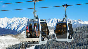 兩架載著滑雪板的纜車懸浮在雪山和松樹上方。 — 科羅拉多 壁紙