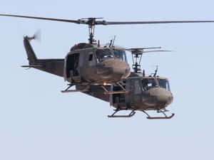 兩架軍用直升機在晴朗的天空中編隊飛行。 — 直升機 壁紙