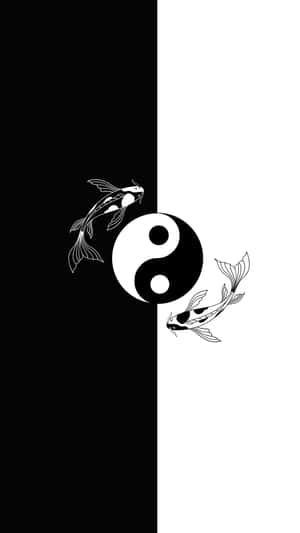 黑白鯉魚圍繞陰陽符號旋轉。 — 魚 GIF 壁紙