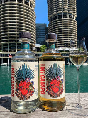 碼頭上的兩瓶龍舌蘭酒和一個酒杯，螺旋建築和水。 — 2 壁紙