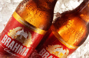 兩瓶冰涼的 Brahma 啤酒放在冰中，清涼解渴。 — 啤酒 壁紙