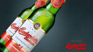 兩瓶冰鎮的Budweiser Budvar啤酒瓶，帶有冷凝水珠，置於深灰色背景上。 — 百威 壁紙