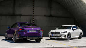兩輛BMW雙門轎跑車停放在混凝土機庫內，一輛紫色，一輛白色。 — Mercedes Benz C300 壁紙