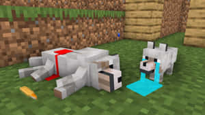 兩隻Minecraft狼，一隻死了有血，另一隻在胡蘿蔔附近的草地上哭著藍色的眼淚。 — 酷炫狼 壁紙
